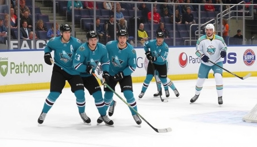 Sharks, Dolphins gear up for return of Fin Cup
