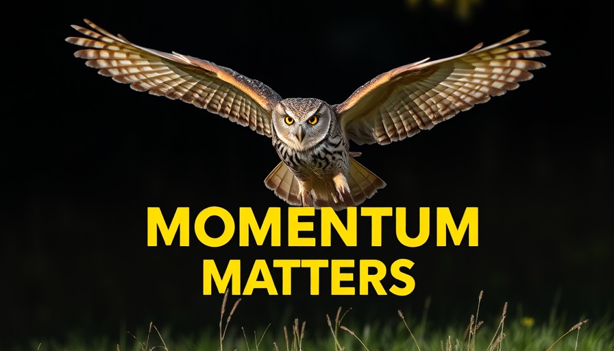 Sustainable Fundraising Momentum with flying owl