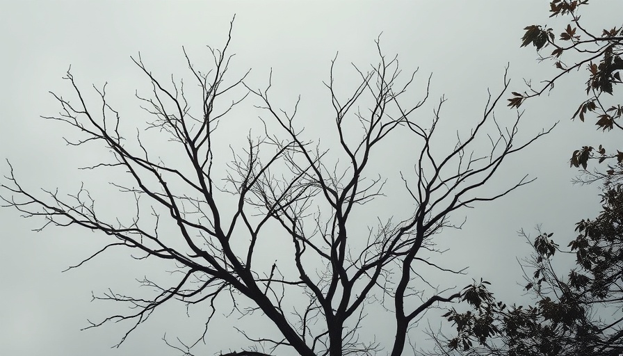 Bare tree branches under gray sky, symbolizing anxiety disorders.