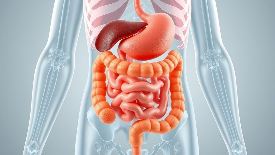 Unlocking the Secrets of the Large Intestine: Enhancing Patient Wellness