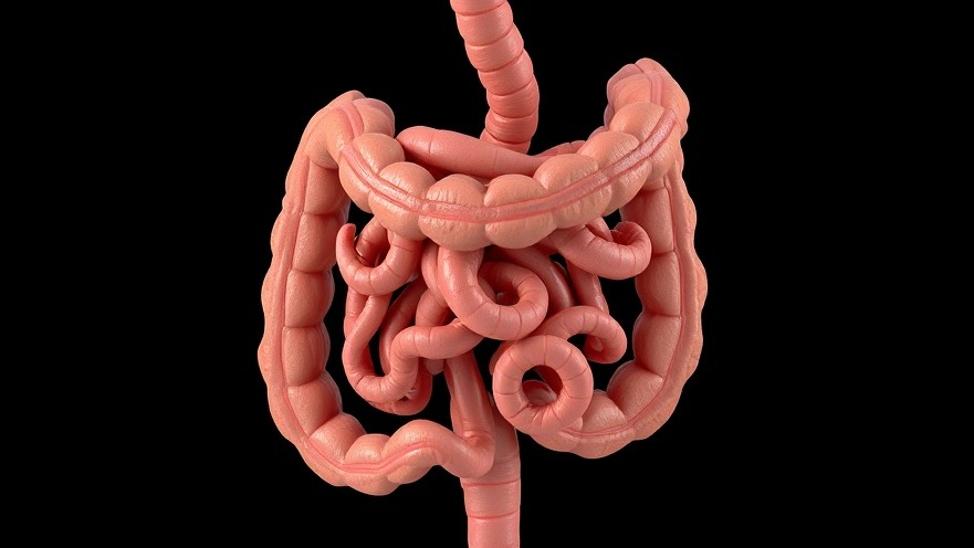 Discover the Vibrating Capsule: A Game-Changer in Treating Chronic Constipation