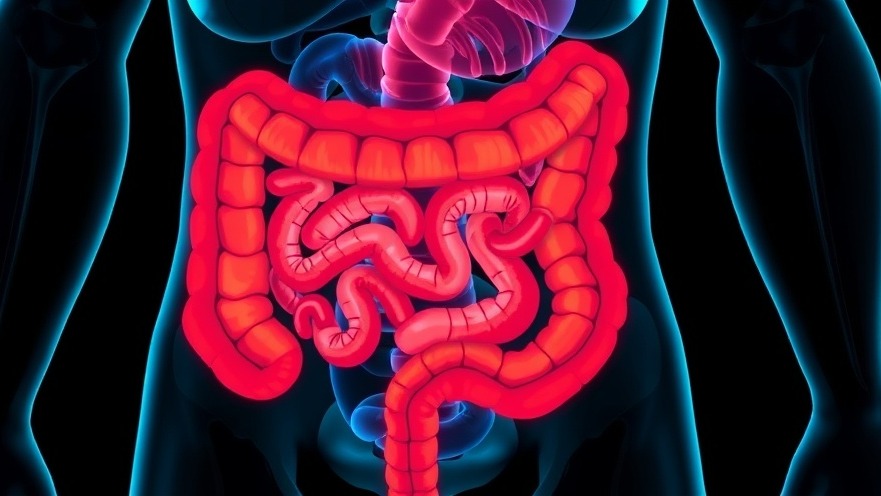 Elevate IBD Management: Why Concierge Practices Must Embrace Preventive Care