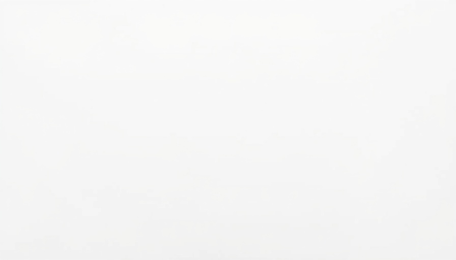 Blank white screen, no details.