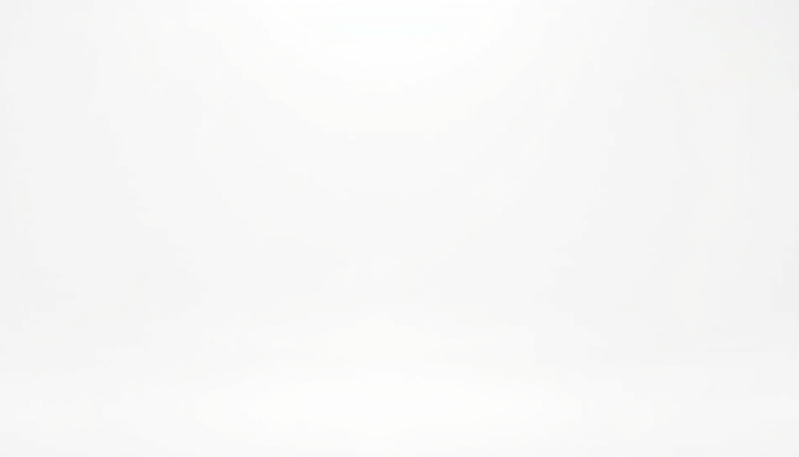 Blank white image for illustrating empty content space.