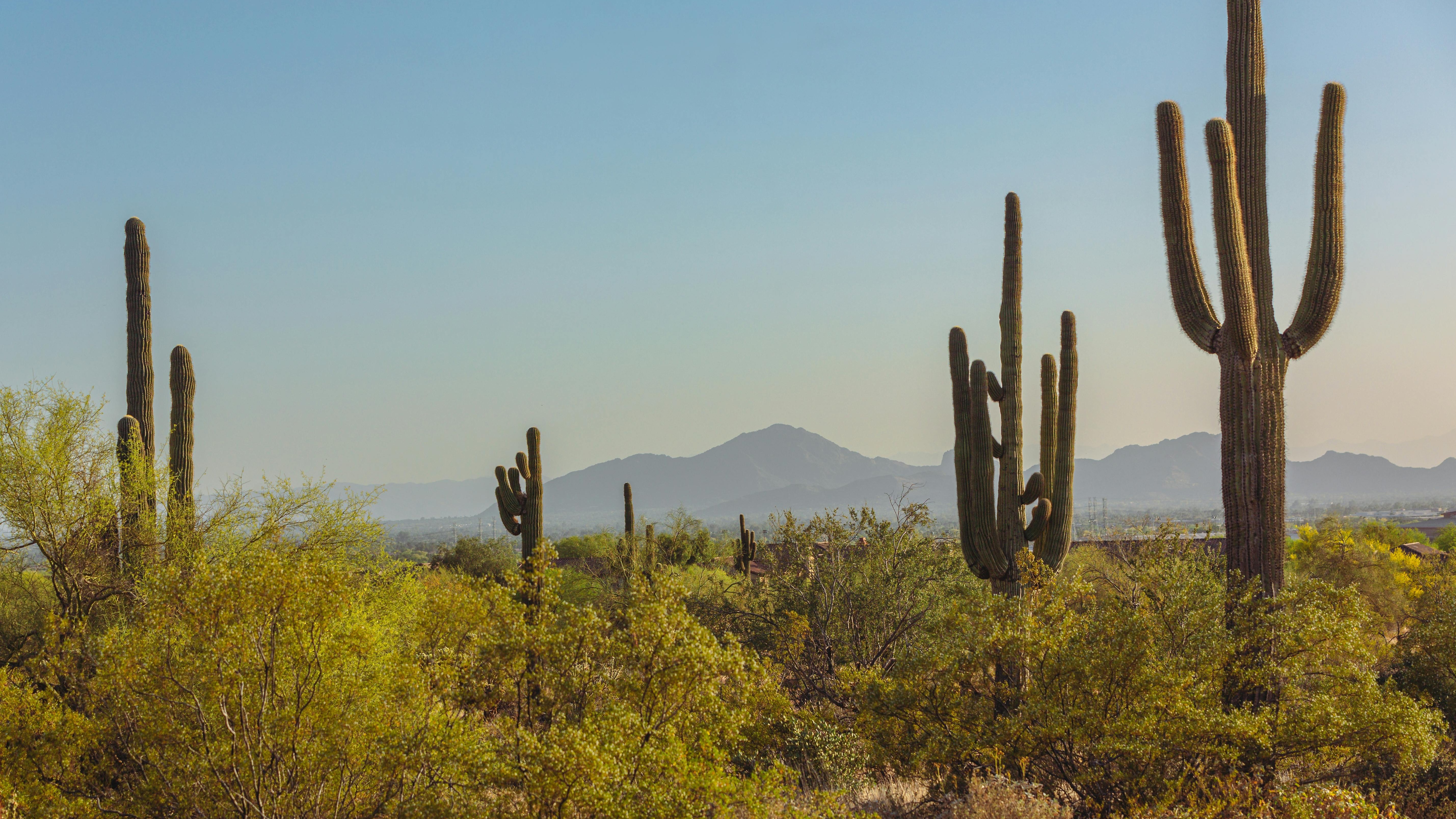 NOVOS FiBER and PRIME FiBER double-down in Arizona with $130M+ fiber internet investment