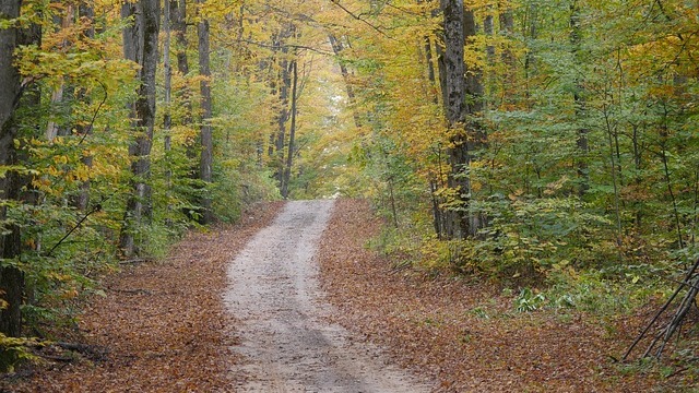 Highline Now Accepting Orders for Reliable Fiber Internet in Michigan's Thumb Region