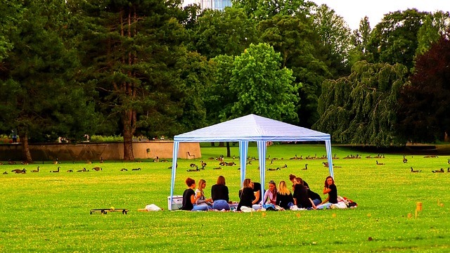 Group yoga under modern arches, San Antonio family activities.