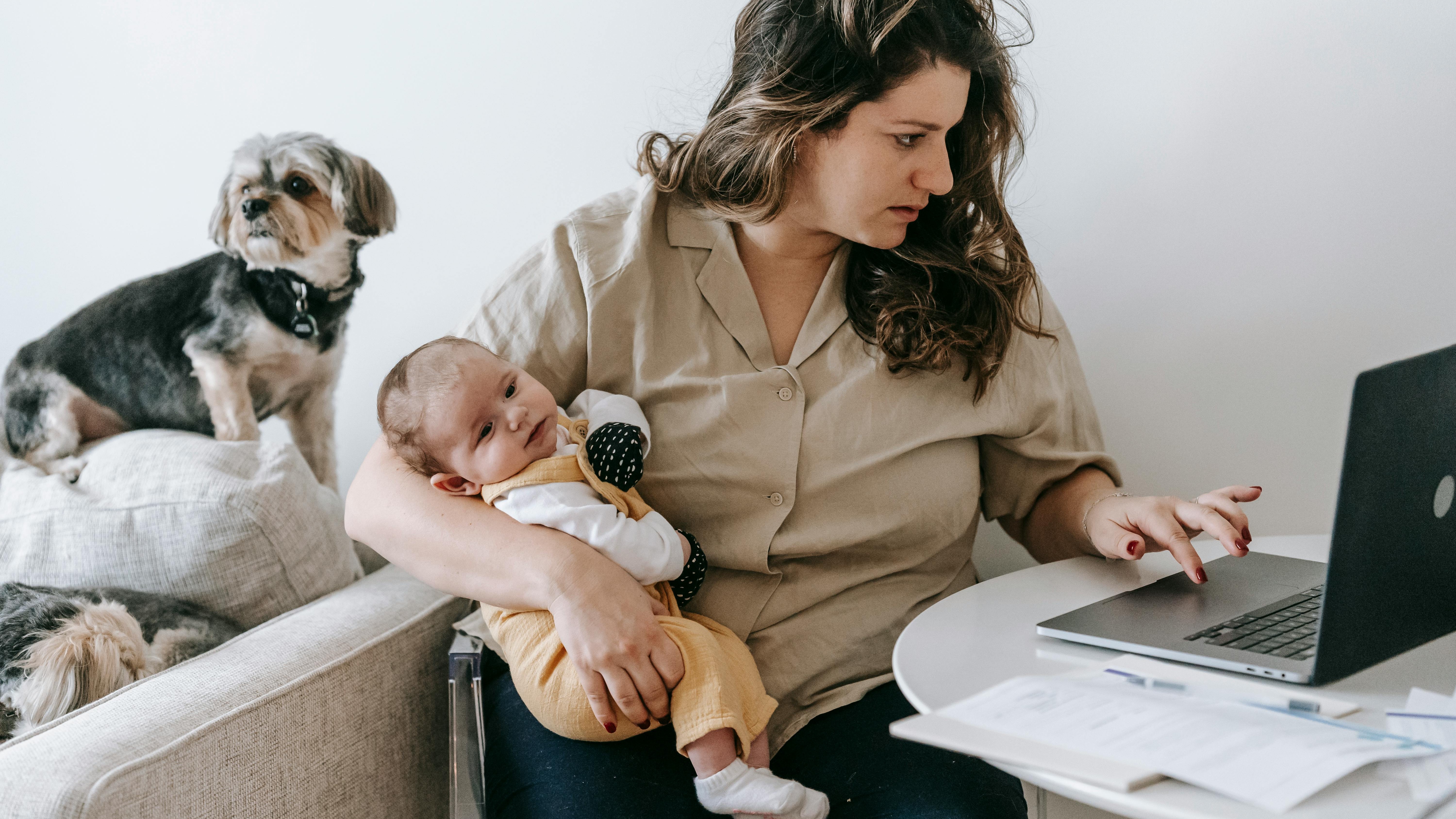 Maternity leave policies in the United States background with cartoon panda and stroller.