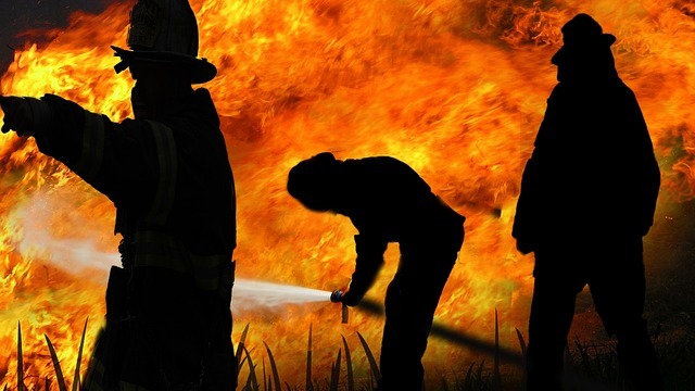 Firefighter battling Indonesia forest fire, prevention efforts shown.
