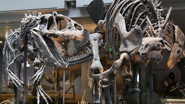 Visitors exploring Antarctic Dinosaurs Exhibition in Omaha.