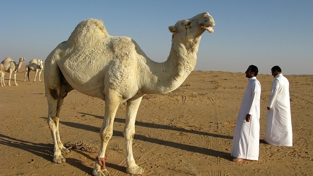 Saudi Arabia hotel development event showcasing diverse attendees at trade show.