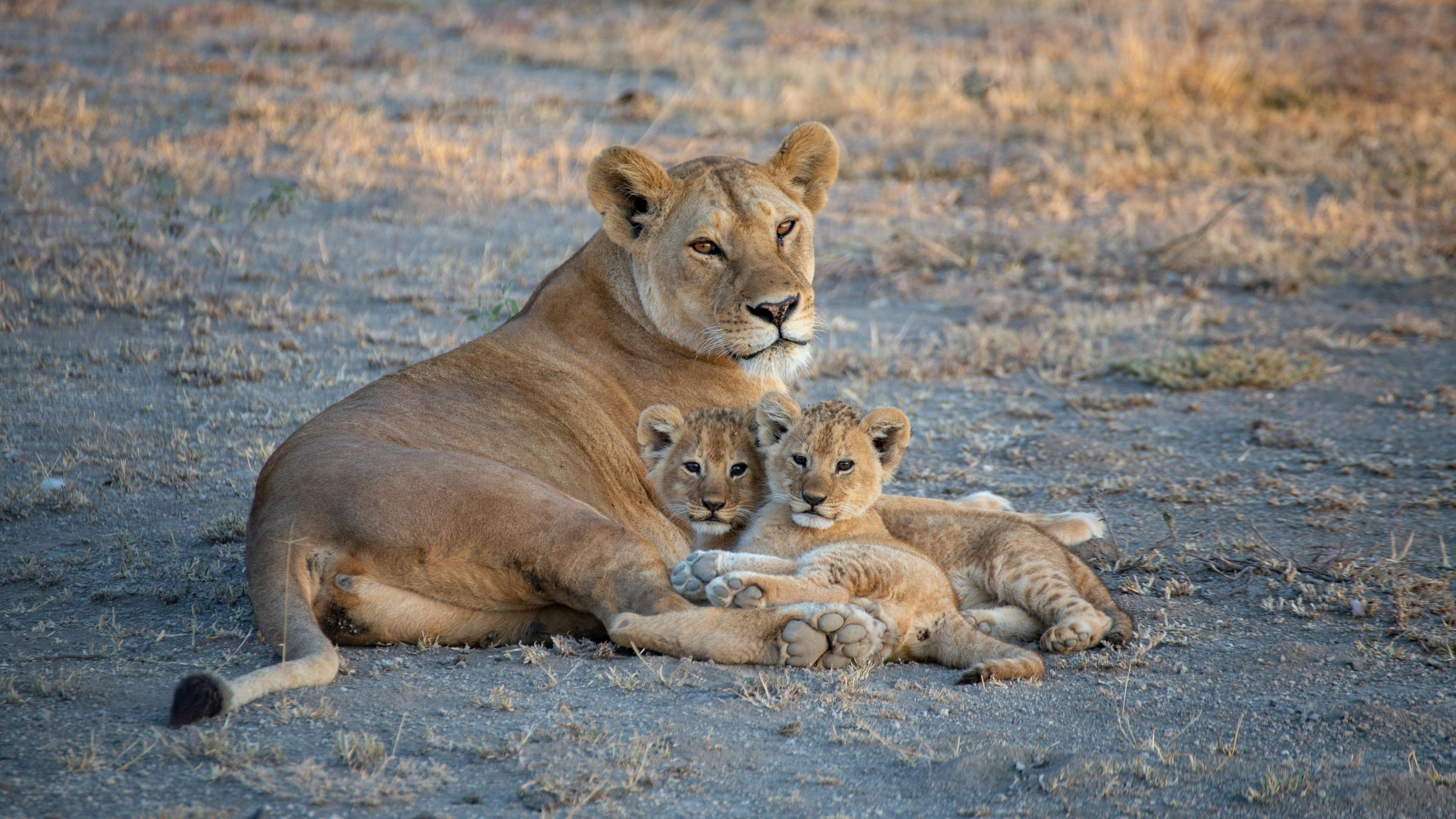 Luxury family destinations 2025
