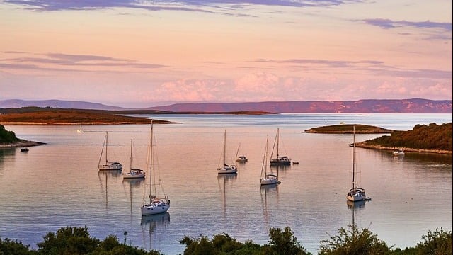 vis honeymoon