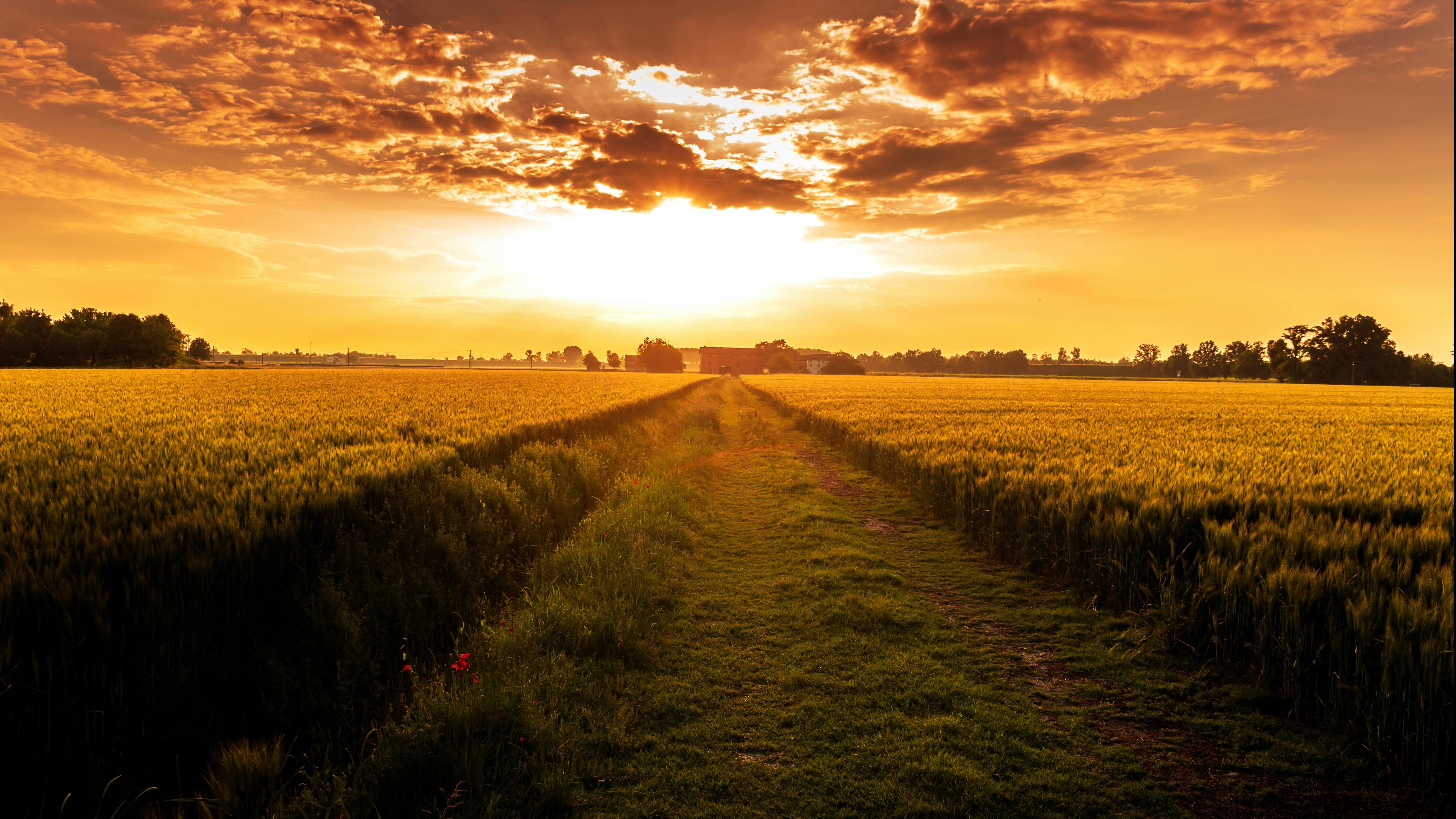 Luxury travel in Emilia-Romagna