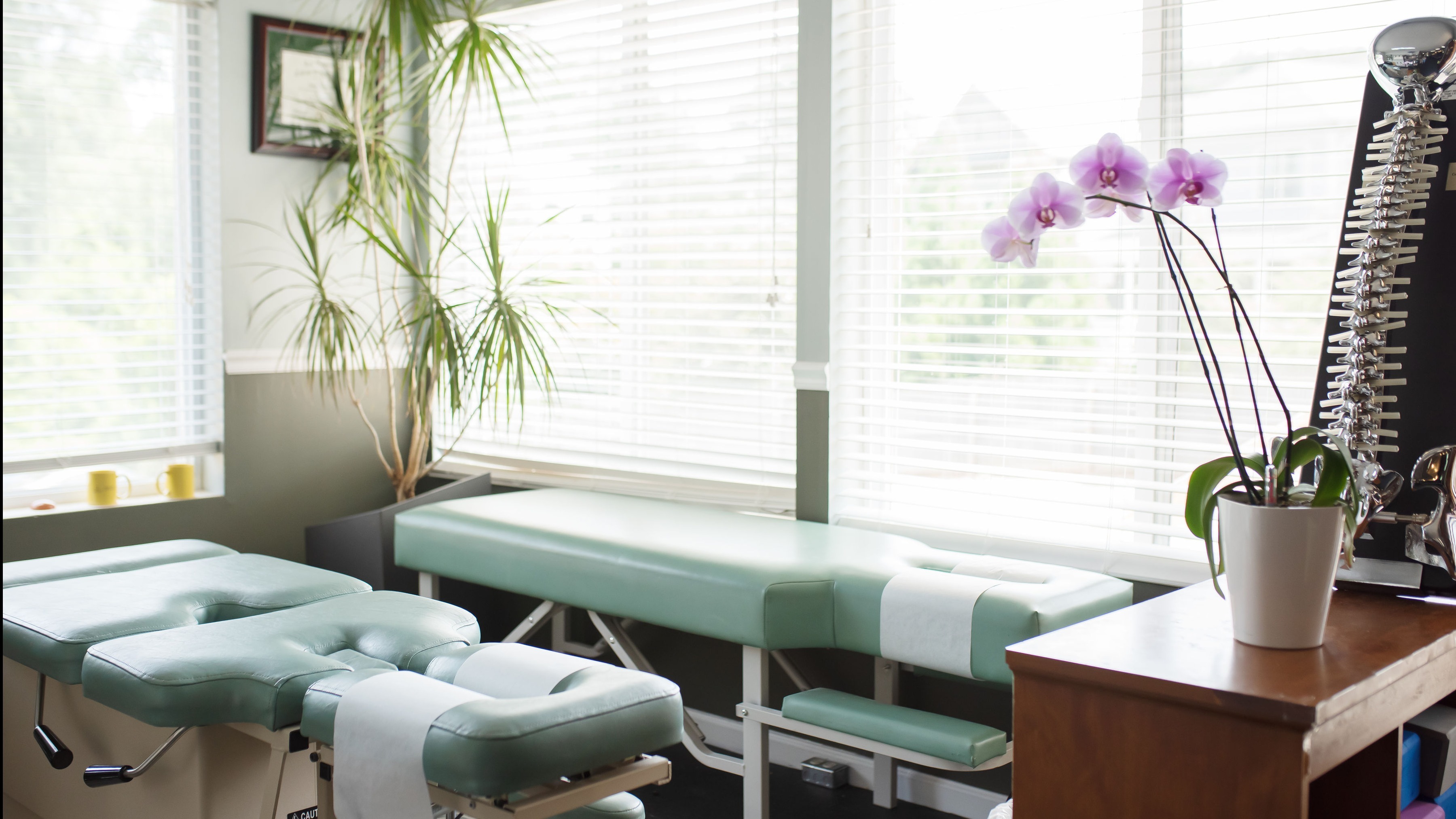 Holistic Health Consultation in Sandy Springs