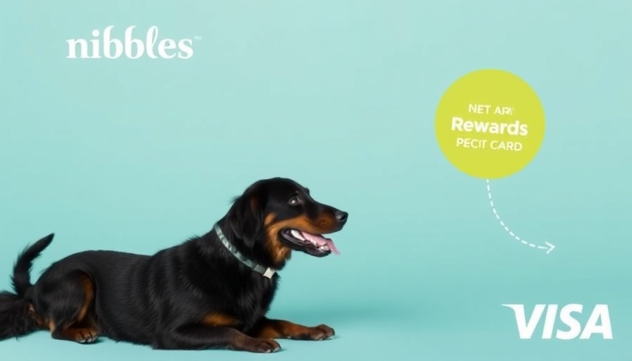 Nibbles Launches New Rewards Credit Card Offering Free Pet Insurance