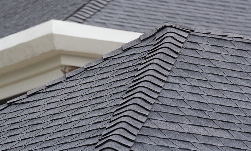 professional roofing company