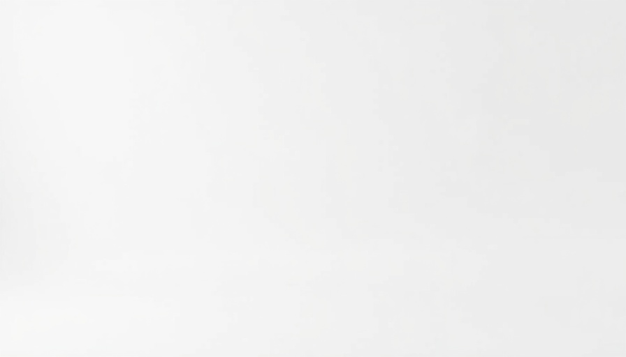 Blank white image depicting emptiness.