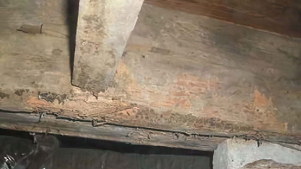 Reinforced crawl space support beams before and after.