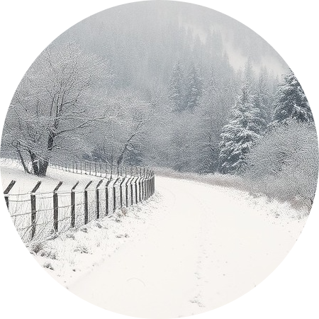 Snowy landscape in the countryside, capturing the serene beauty of winter.