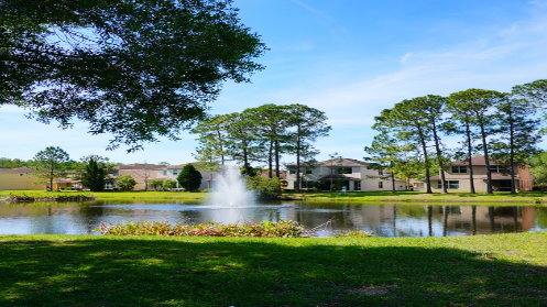 tree health experts | kansas city | paul weaver arborist | 9139338733