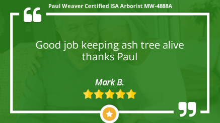 Paul Weaver Arborist Kansas City