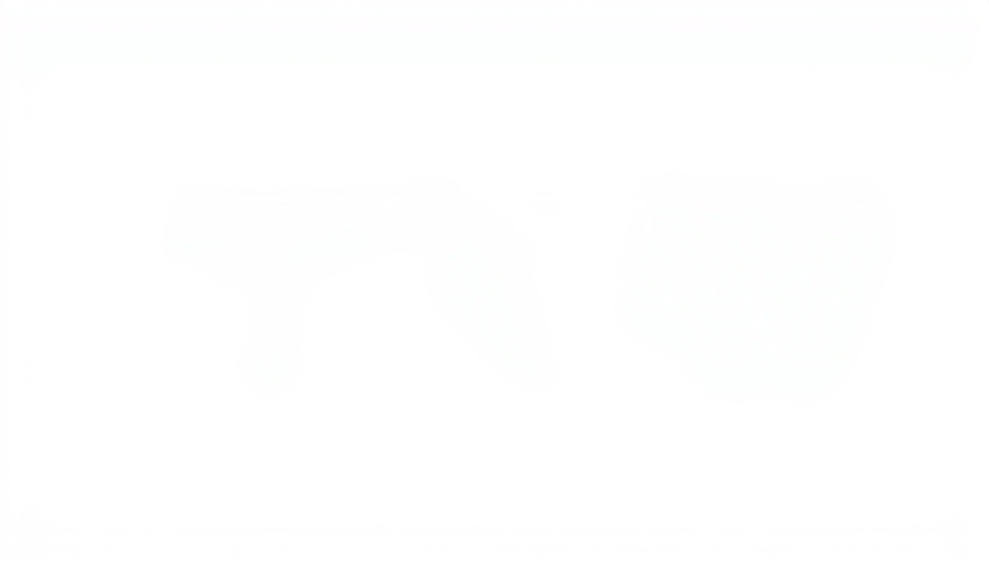 TNW logo minimalistic style on blank background.