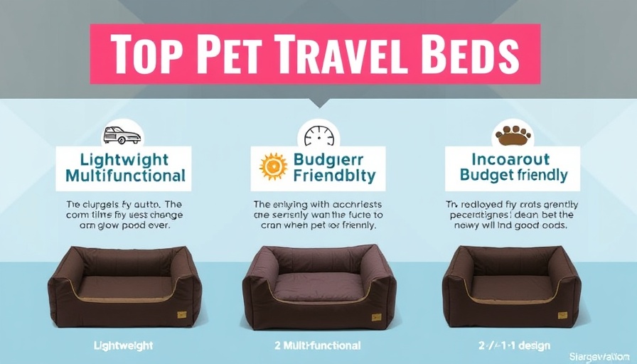 Infographic of best travel pet beds for RV travel options.