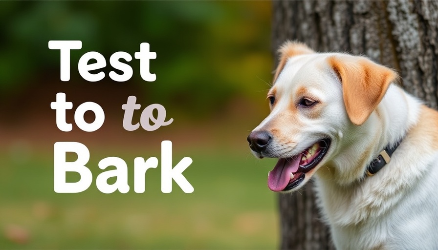 ElevenLabs Text to Bark