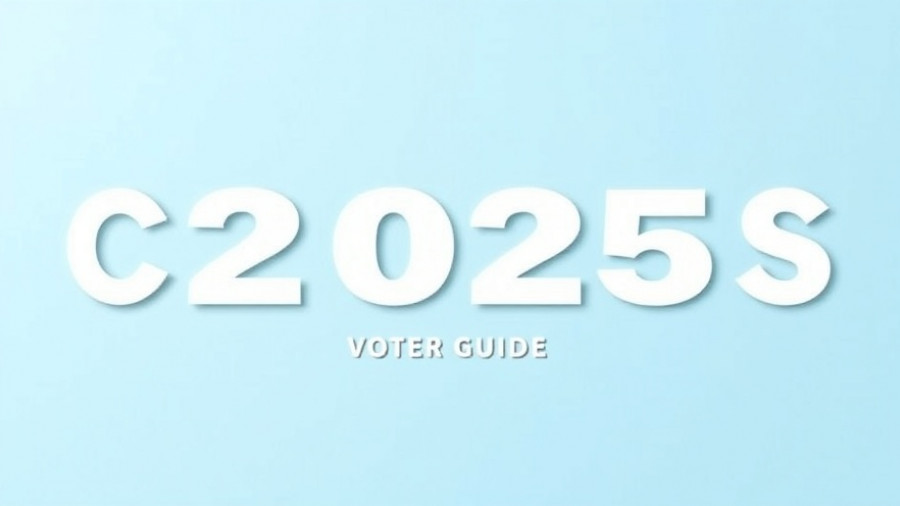 California 2025 Voter Guide cover with minimalist design.
