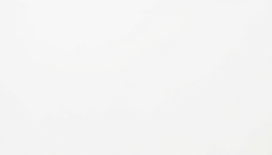 Blank white image with no content.