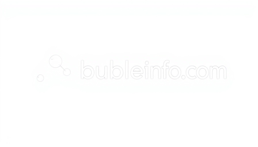 Bubbleinfo.com logo in modern font