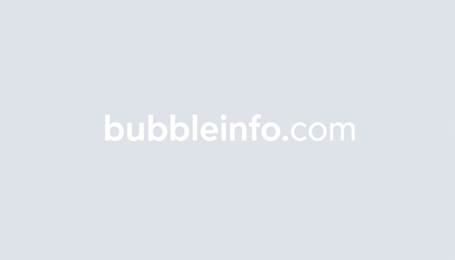 bubbleinfo.com logo, minimalistic white text on transparent background, The Great Stay.