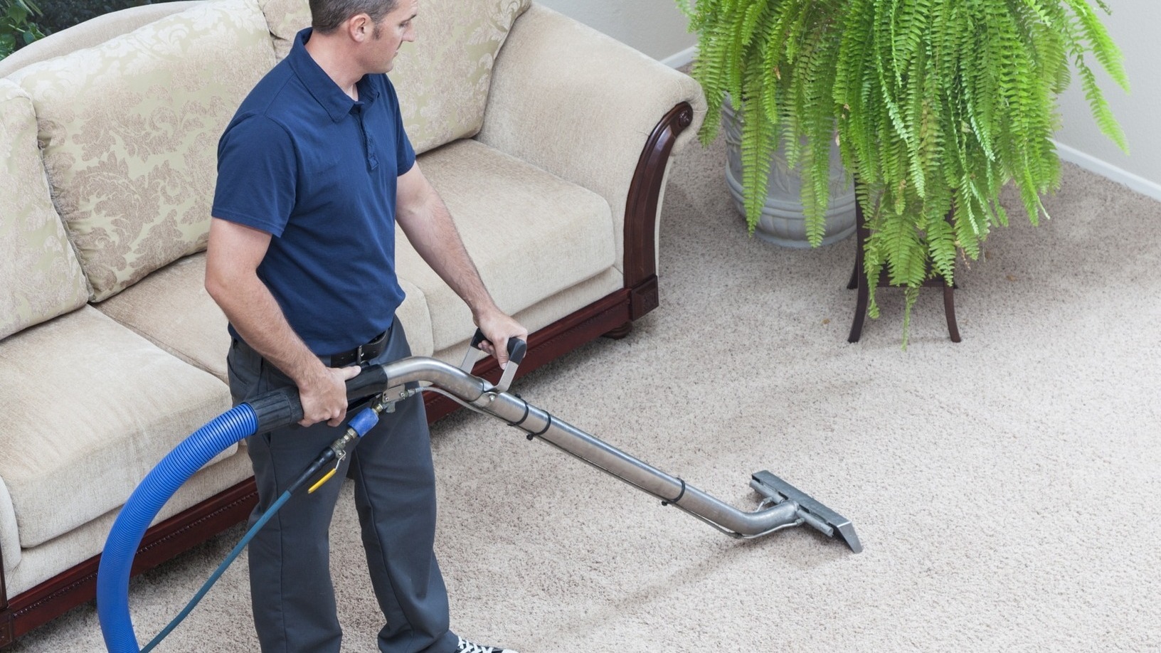 rental steam cleaning