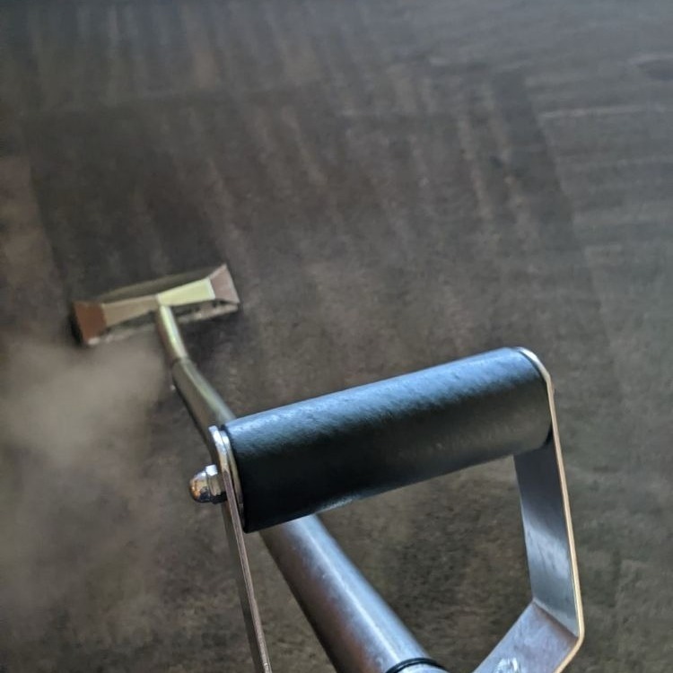 professional carpet cleaner