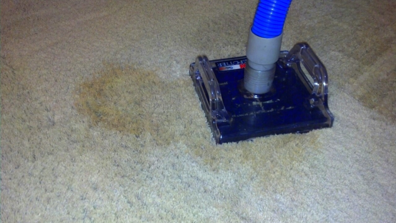 spot and stain removal