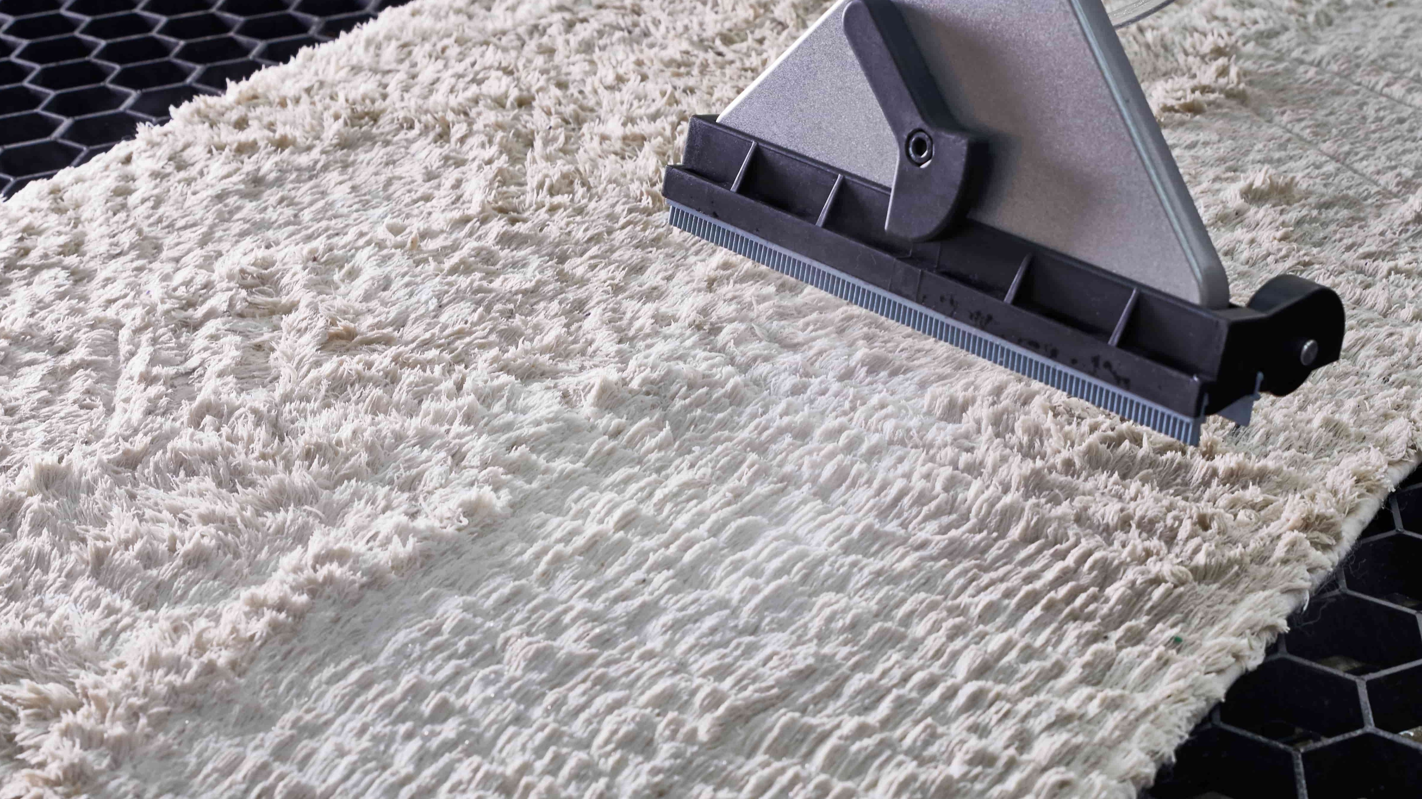 rug cleaning