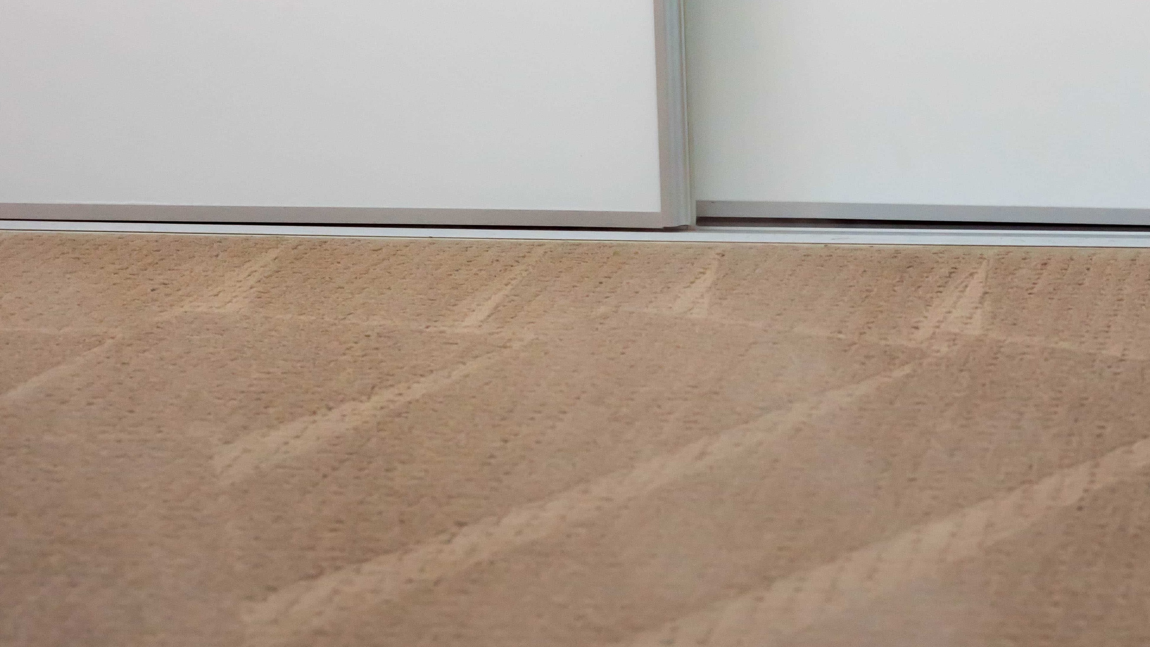 remove carpet pet odors