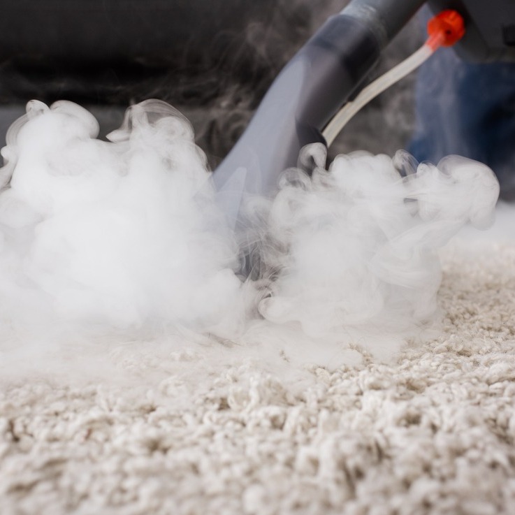 carpet steam cleaning