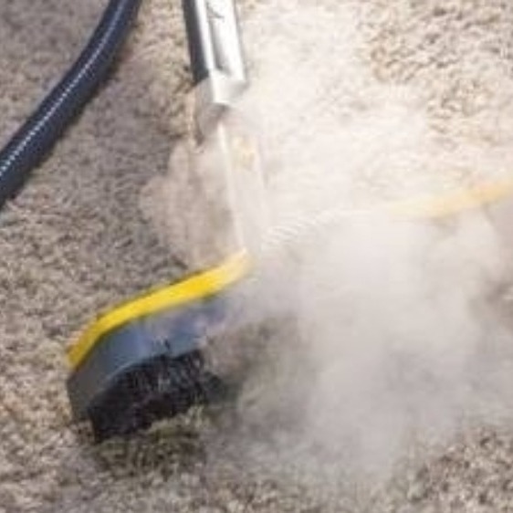steam carpet cleaning
