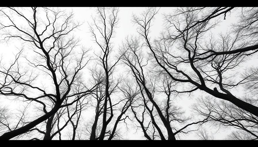 Leafless trees with dramatic branching, resembling nerve pathways.