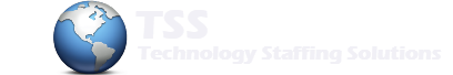 Technology Staffing Solutions