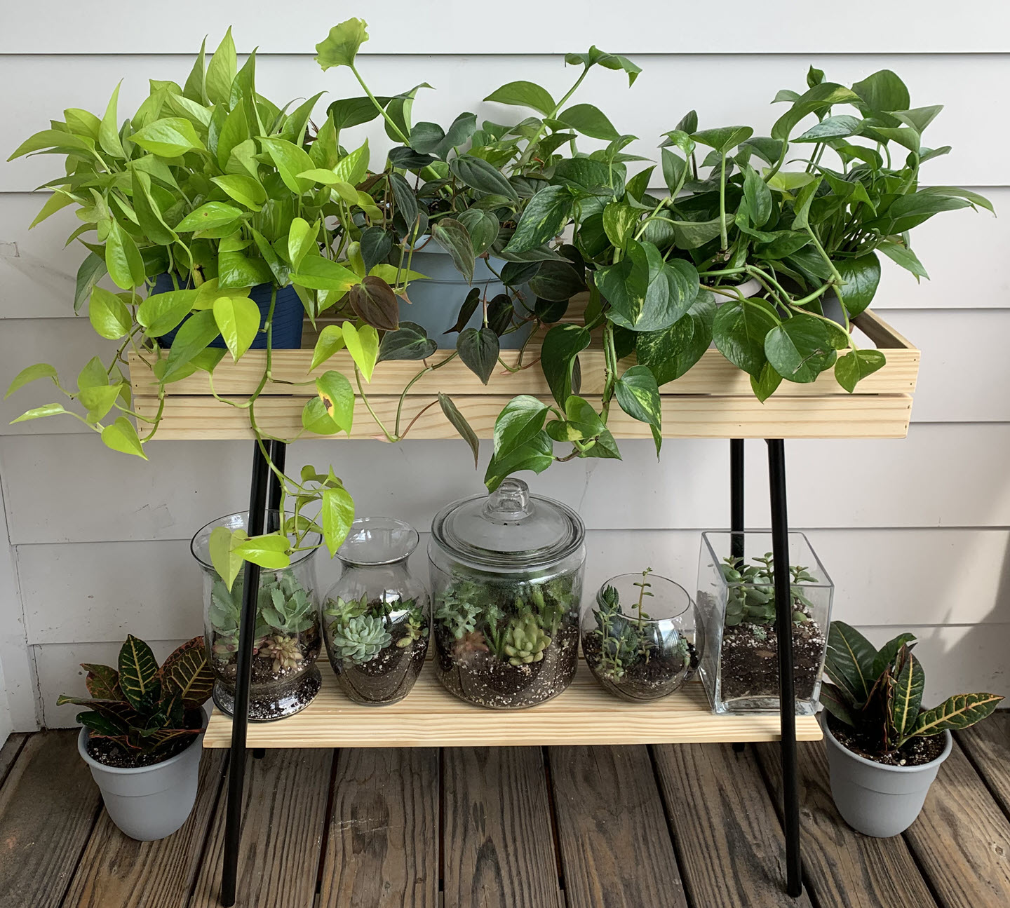 Assortment of