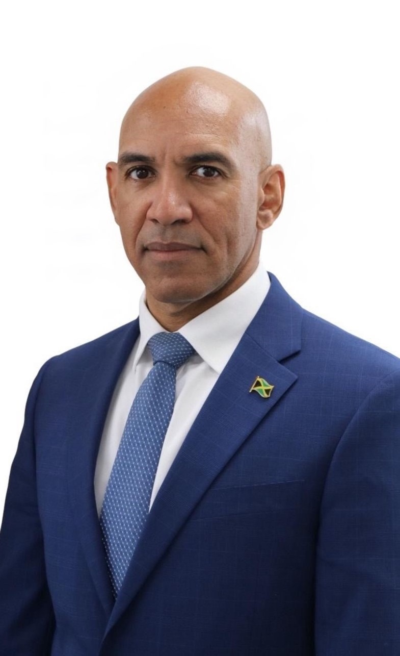 His Excellency Major General (Ret’d) Antony Anderson