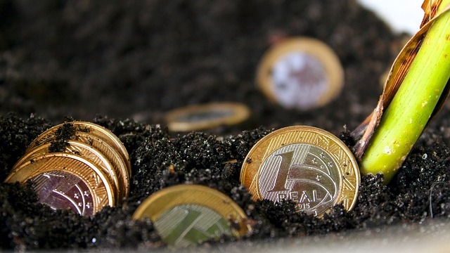 SIMA Funds Social Impact Awards finalist announcement with plants and coins.