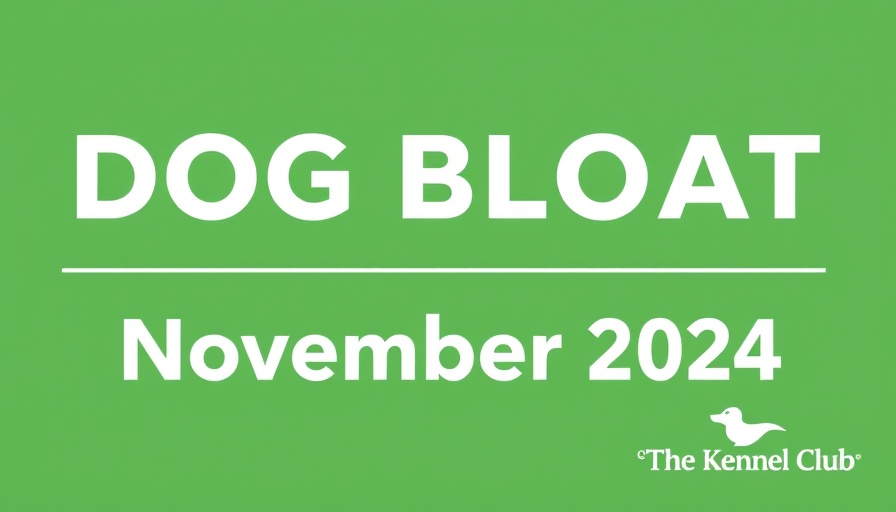 Promotional image for dog bloat webinar in November 2024.