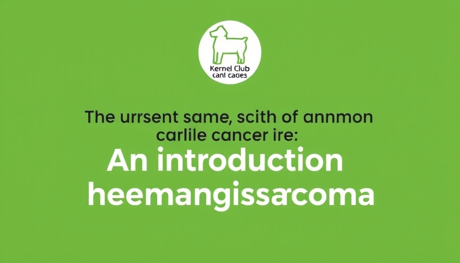 Introduction to haemangiosarcoma in dogs by the Kennel Club.