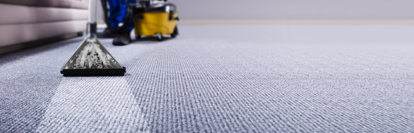 carpet cleaning