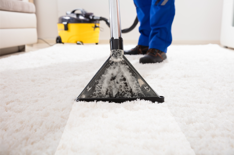carpet cleaning
