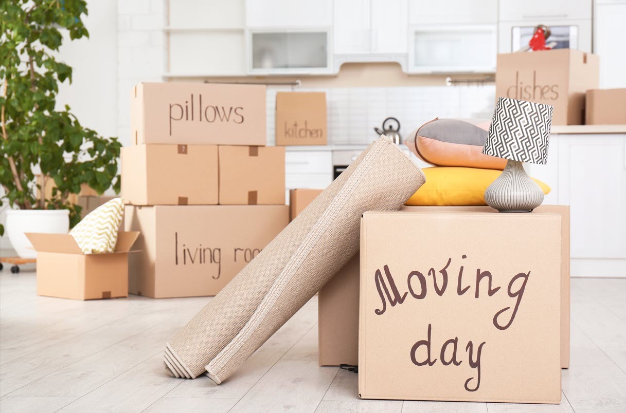 Move Storage and Removals